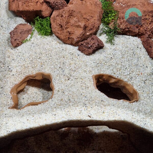Underground Reptile and Fish Cave - Egypt Theme, Aquarium & Terrarium Decor, Grotto  for Pet Hide and Observation | 3D Printable STL File - Image 6