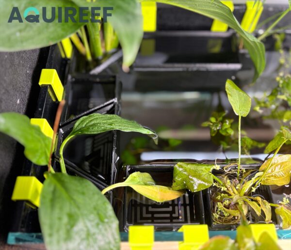Aquarium Plant Holders, 8 Height Adjustable Designs & Sizes, Aquatic Plant Baskets, Hydroponic Growout Pot | 3D Printable STL File - Image 5