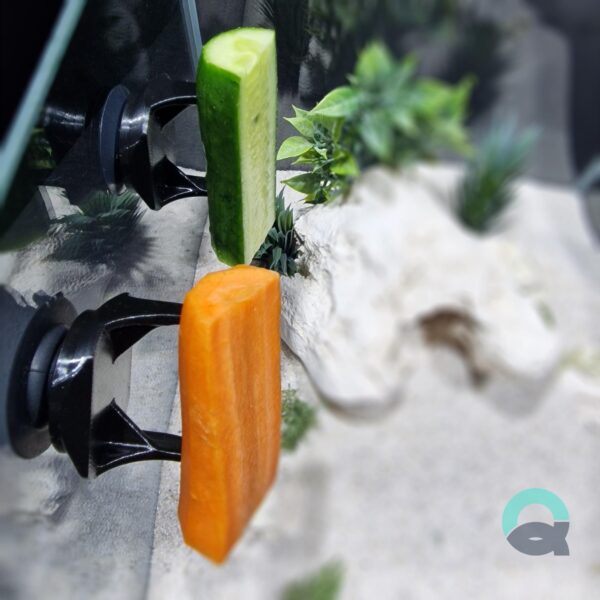 Veggie Clip for Aquarium, Fish Food Holder, Cucumber Hook for Plecos, Shrimp & Snails | 3D Printable STL - Image 6