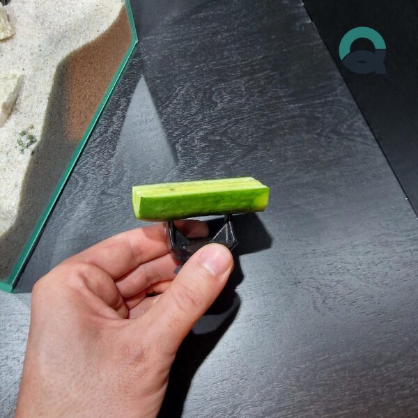 Veggie Clip for Aquarium, Fish Food Holder, Cucumber Hook for Plecos, Shrimp & Snails | 3D Printable STL - Image 7