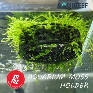 Floating Fish Tank Moss Ring, Aquarium Plant Growout Holder, Plant Floater for Fish and Shrimp Tanks | 3D Printable STL File