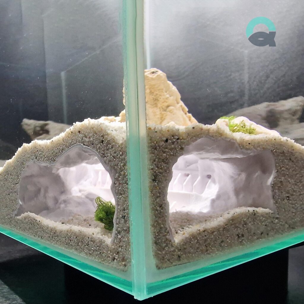 Aquireef3D Custom Print Blog showcasing the il fullxfull.6911238860 dwpe