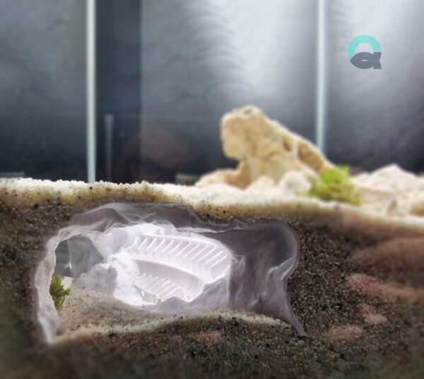 Printable Fish and Reptile Grotto, Colosseum Aquarium & Terrarium Cave, Fish Tank Shelter, Critter Hide, Aquascaping Tool | 3D Printable STL - Image 6