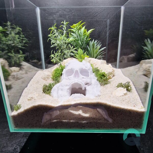 Terrarium & Aquarium Skull Hide – Pirate Cave for Fish, Reptiles, Shrimp, Spiders and Insects | 3D Printable STL File - Image 7