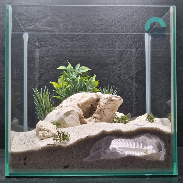Printable Fish and Reptile Grotto, Colosseum Aquarium & Terrarium Cave, Fish Tank Shelter, Critter Hide, Aquascaping Tool | 3D Printable STL - Image 3