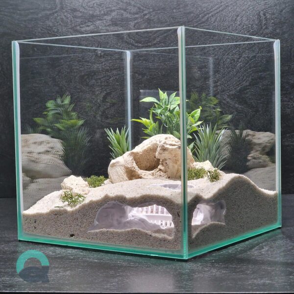 Printable Fish and Reptile Grotto, Colosseum Aquarium & Terrarium Cave, Fish Tank Shelter, Critter Hide, Aquascaping Tool | 3D Printable STL - Image 2