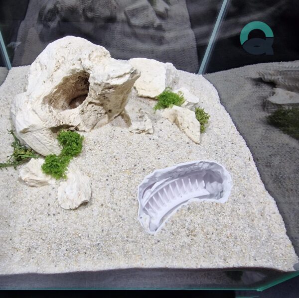 Printable Fish and Reptile Grotto, Colosseum Aquarium & Terrarium Cave, Fish Tank Shelter, Critter Hide, Aquascaping Tool | 3D Printable STL - Image 7
