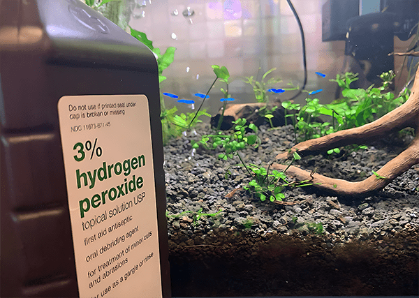 A canister of 3% hydrogen peroxide used for algae removal from 3d printed caves and aquarium decor