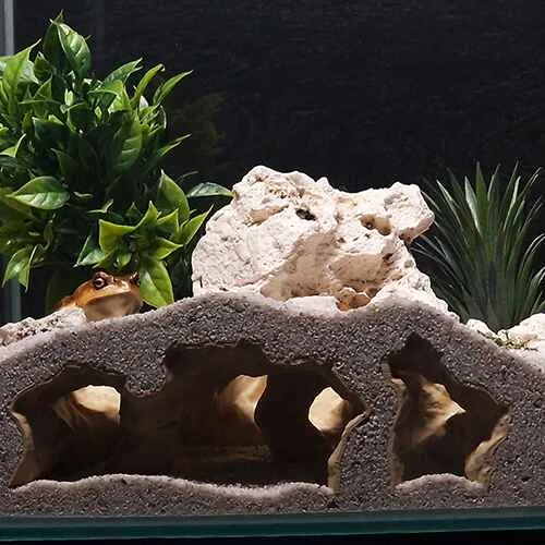 AQUARIUM and TERRARIUM 3D PRINTABLE DESIGNS by Aquireef3D - the Atlantis Cave for Aquarium Terrarium 3d print