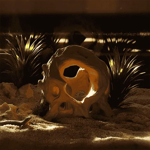 Aquarium 3d print and terrarium 3d print cave by Aquireef3D - the Skull Hide Pirate Cave