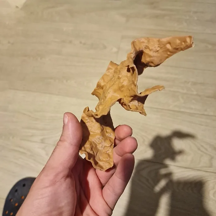 Matte petg 3d printed decor