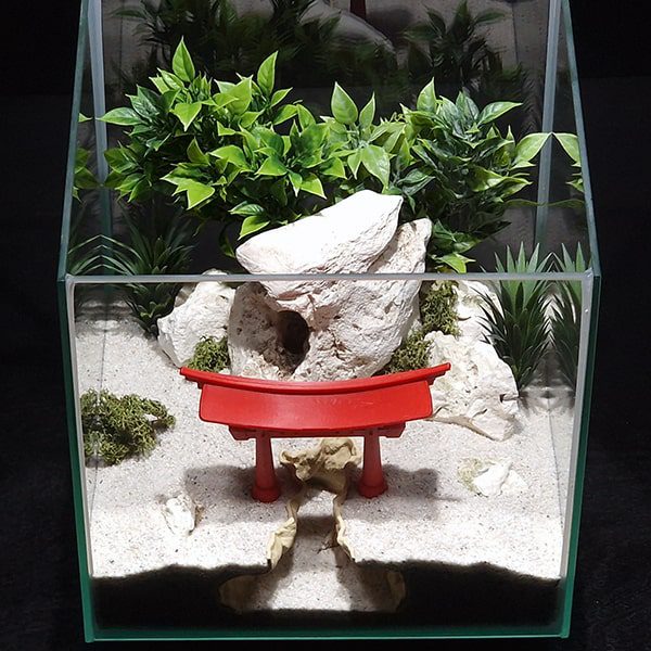 Aquireef3D Custom Print Blog showcasing the Aquireef3D commercial 1 1