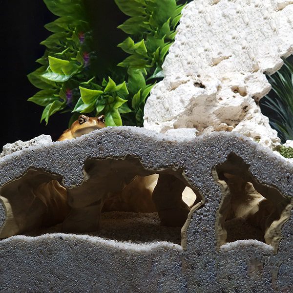 Aquireef3D Custom Print Blog showcasing the Aquireef3D commercial 10 1