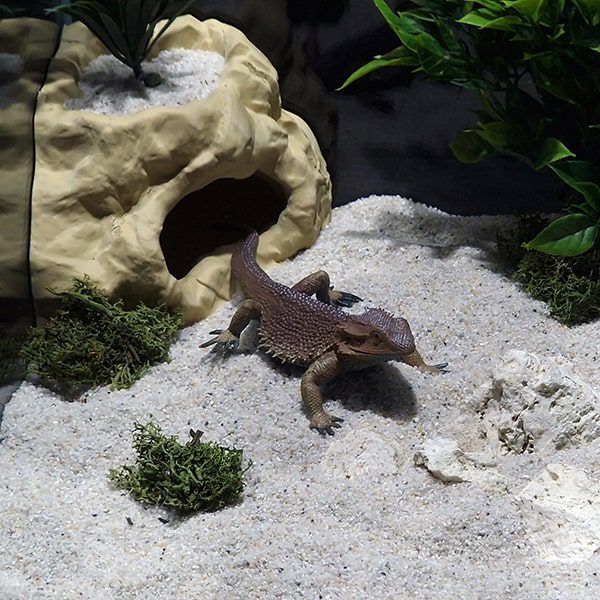 Aquireef3D Custom Print Blog showcasing the Aquireef3D commercial 11 1