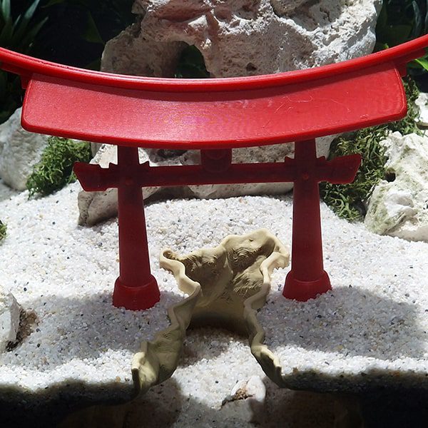 Aquireef3D Custom Print Blog showcasing the Aquireef3D commercial 2 1