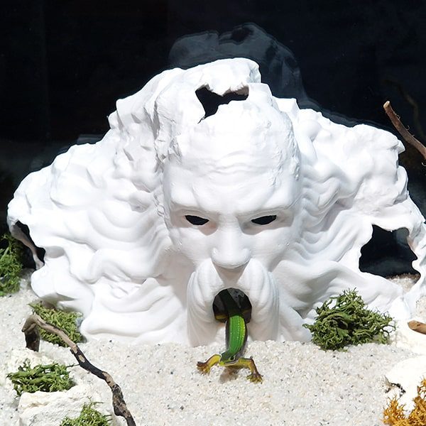 Aquireef3D Custom Print Blog showcasing the Aquireef3D commercial 3 1