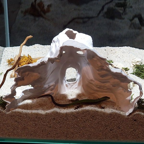 Aquireef3D Custom Print Blog showcasing the Aquireef3D commercial 4 1