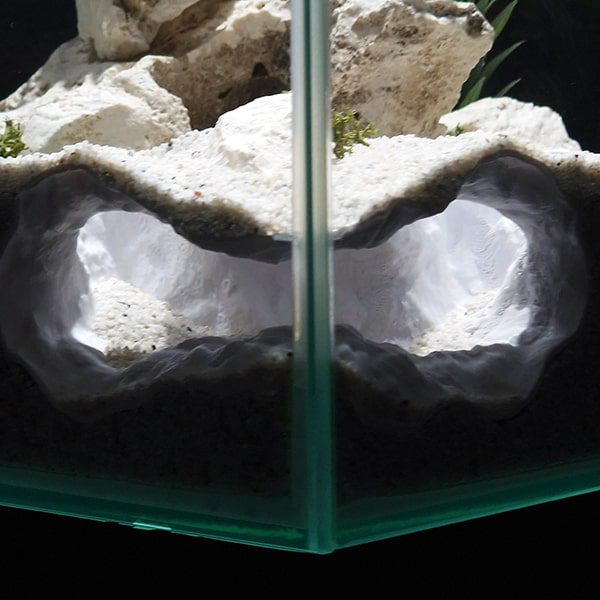 Aquireef3D Custom Print Blog showcasing the Aquireef3D commercial 5 1