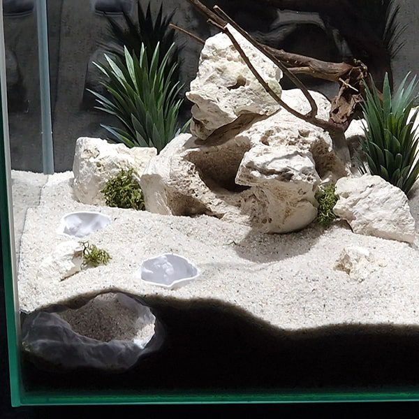 Aquireef3D Custom Print Blog showcasing the Aquireef3D commercial 6 1