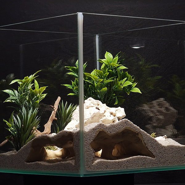 Aquireef3D Custom Print Blog showcasing the Aquireef3D commercial 7 1