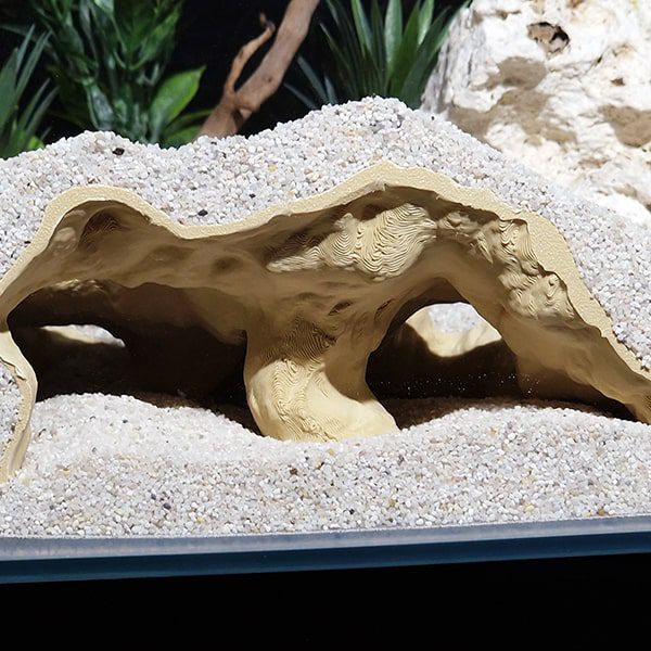 Aquireef3D Custom Print Blog showcasing the Aquireef3D commercial 8 1