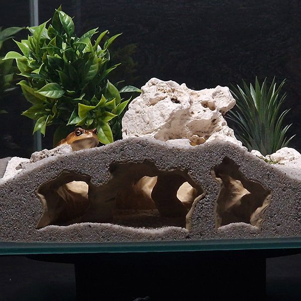 Aquireef3D Custom Print Blog showcasing the Aquireef3D commercial 9 1