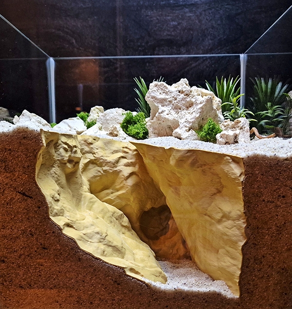 Aquarium and Terrarium 3D Print Designs Collection - the Grand Canyon Cave by Aquireef3D