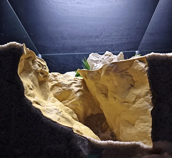 Aquarium and Terrarium 3D Print Designs Collection - the Grand Canyon Cave by Aquireef3D