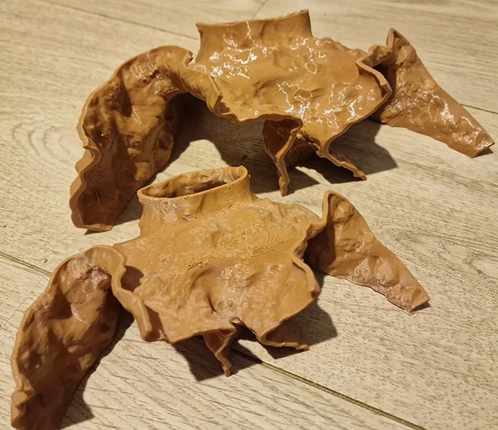 Matte PETG vs glossy petg 3d print fish tank decor - difference showcased