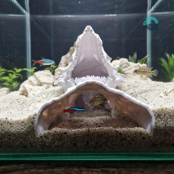 Dragon Skull Aquarium Cave, Fantasy Reptile Hideout, Gothic Aquascape Decor, Vivarium Shelter, Terrarium Ornament | The Dragono Cave 3D Printable STL File - Image 2