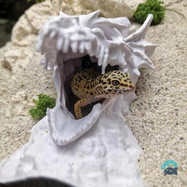 Dragon Skull Aquarium Cave, Fantasy Reptile Hideout, Gothic Aquascape Decor, Vivarium Shelter, Terrarium Ornament | The Dragono Cave 3D Printable STL File - Image 3