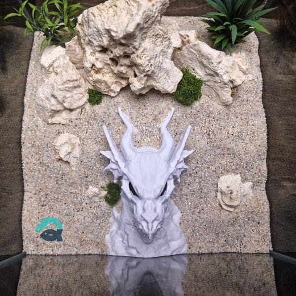 Dragon Skull Aquarium Cave, Fantasy Reptile Hideout, Gothic Aquascape Decor, Vivarium Shelter, Terrarium Ornament | The Dragono Cave 3D Printable STL File - Image 4