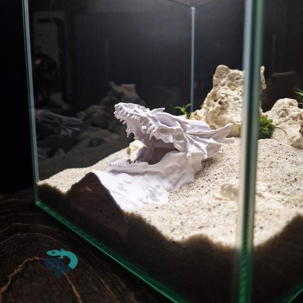 Dragon Skull Aquarium Cave, Fantasy Reptile Hideout, Gothic Aquascape Decor, Vivarium Shelter, Terrarium Ornament | The Dragono Cave 3D Printable STL File - Image 7
