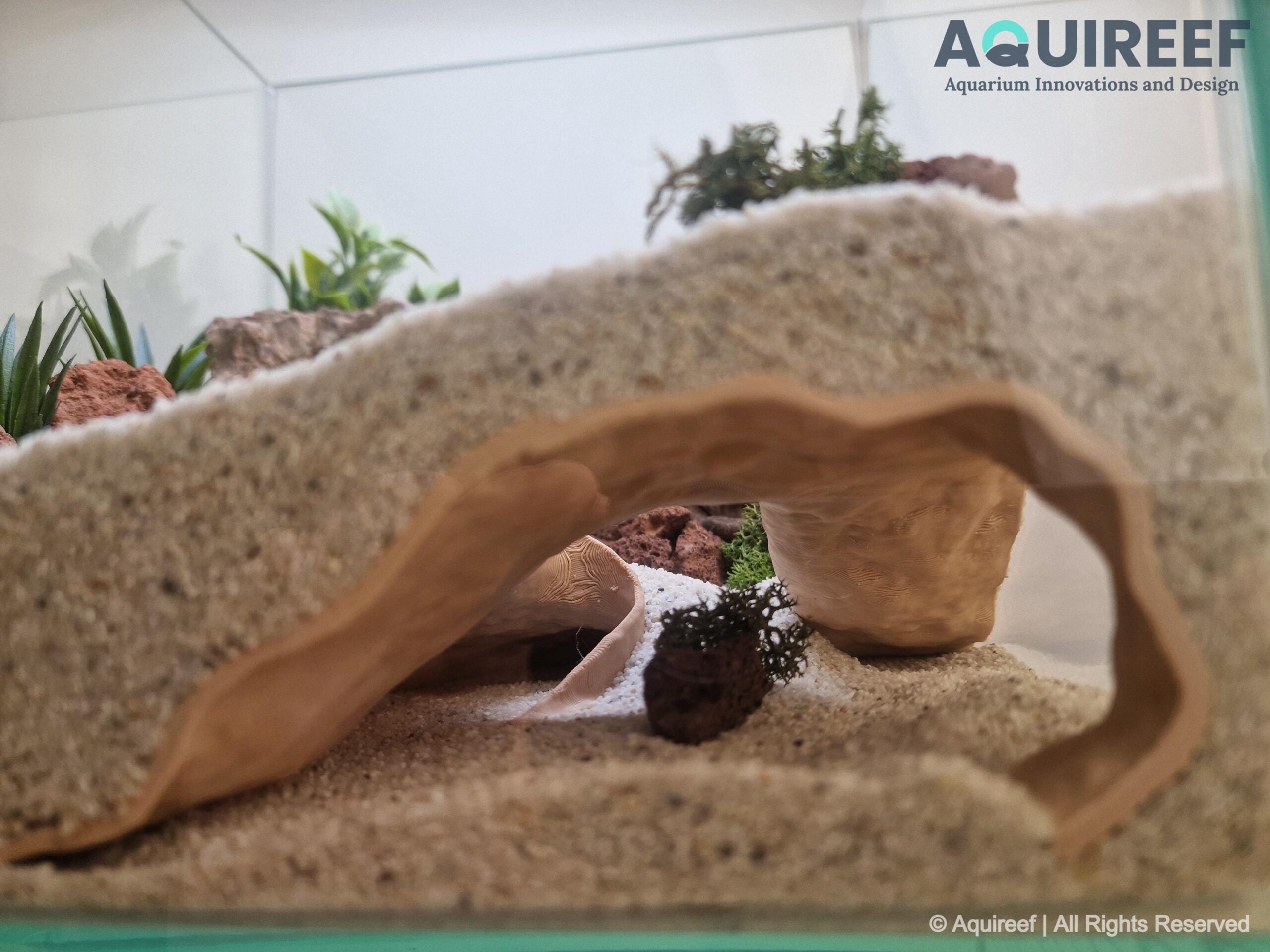 Aquarium & Terrarium Functional Corner Decor Cave - Pet Shelter and Rest Zone, Aquascaping Accessory | The Riptide Cave 3D Printable STL File - Image 6