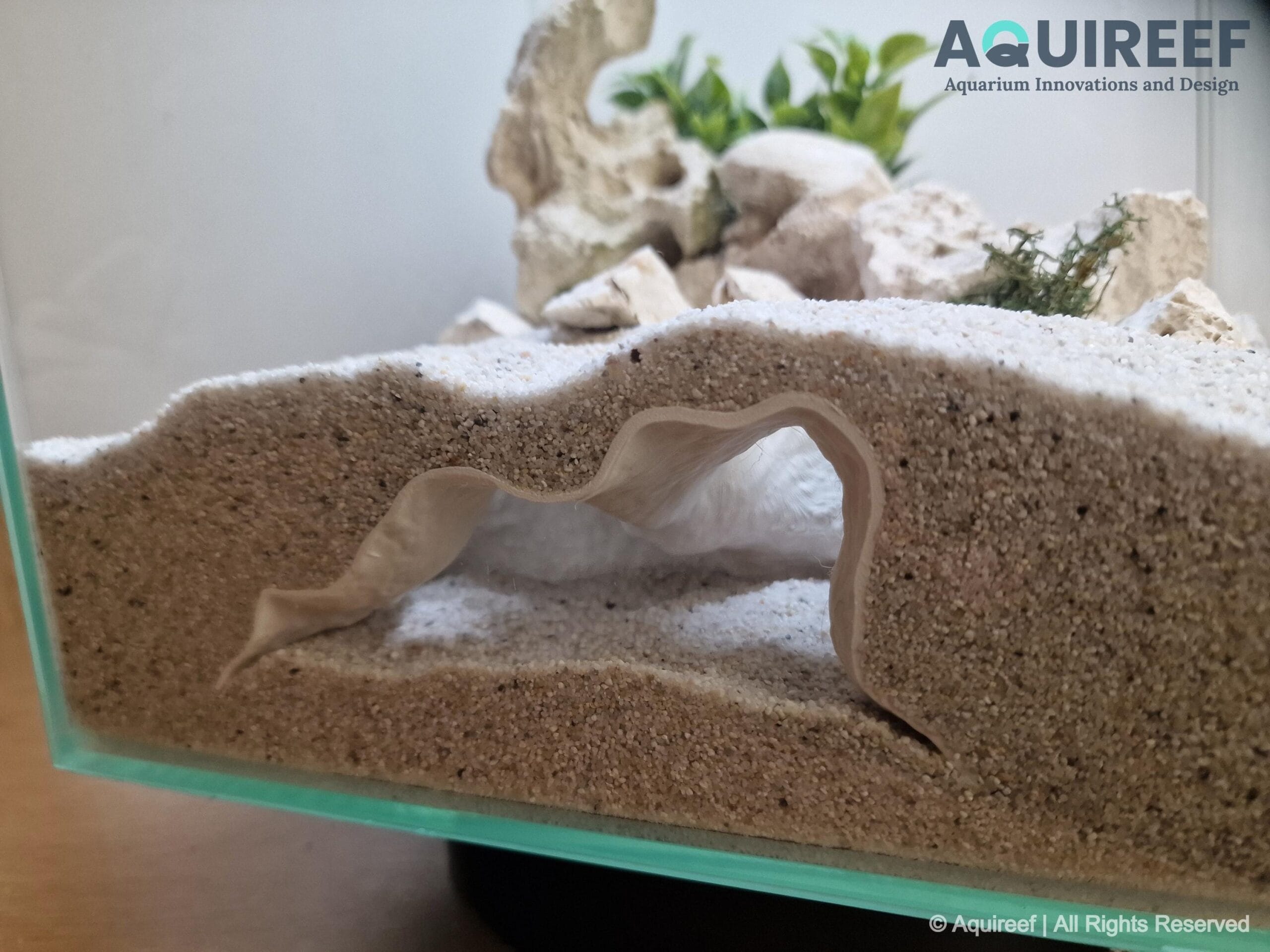 Dual Entrance Aquarium & Terrarium Underground Cave - Hide and Relax Spot for Pets | Whisperstone Cave 3D Printable STL File - Image 3
