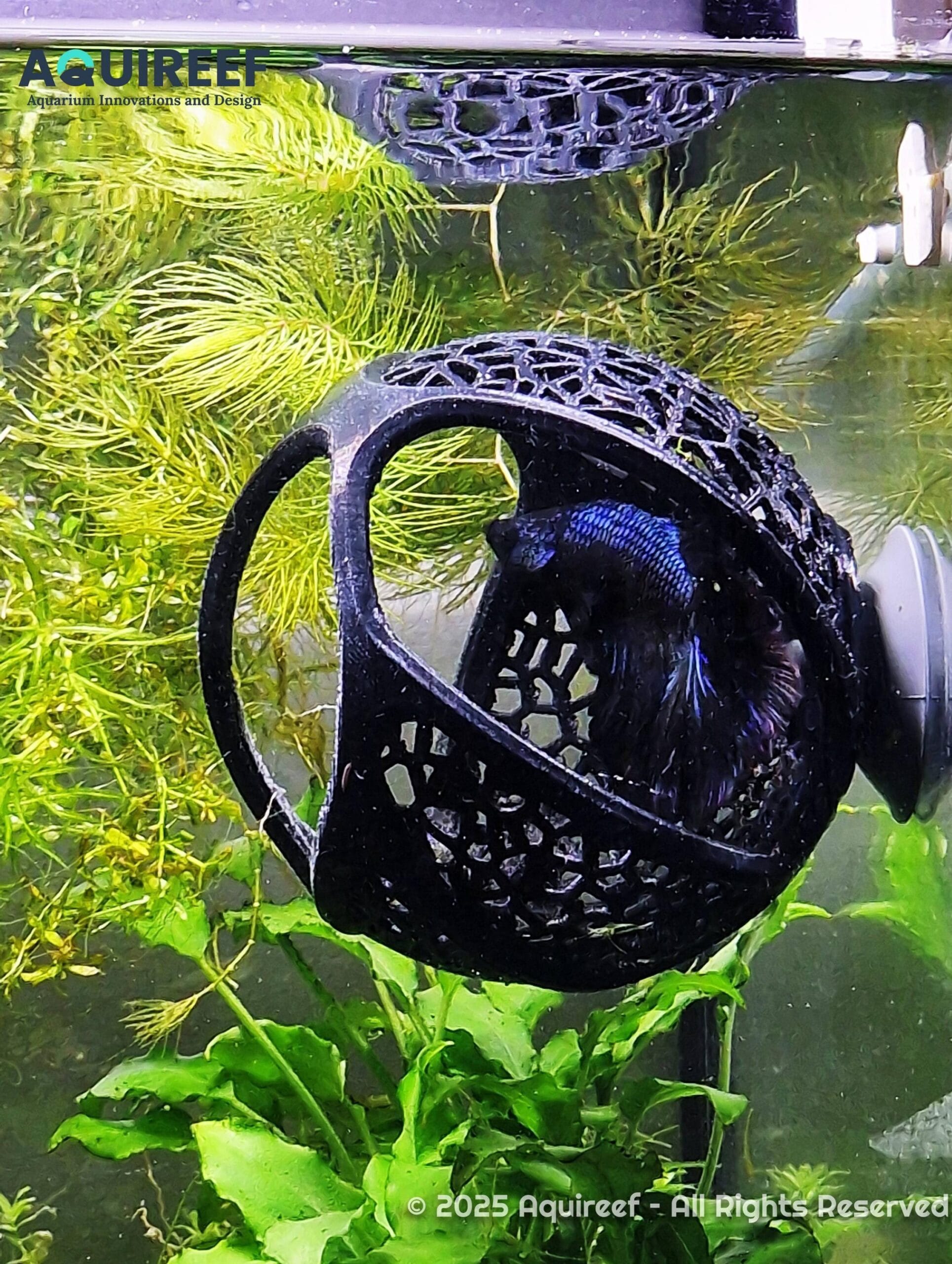 Betta Cave Hammock - Floating, Mounted and Free Placement Aquarium Fish Resting Cave, Modern Betta Fish Hide and Playground | Betta Hammock 3D Printable STL File - Image 3