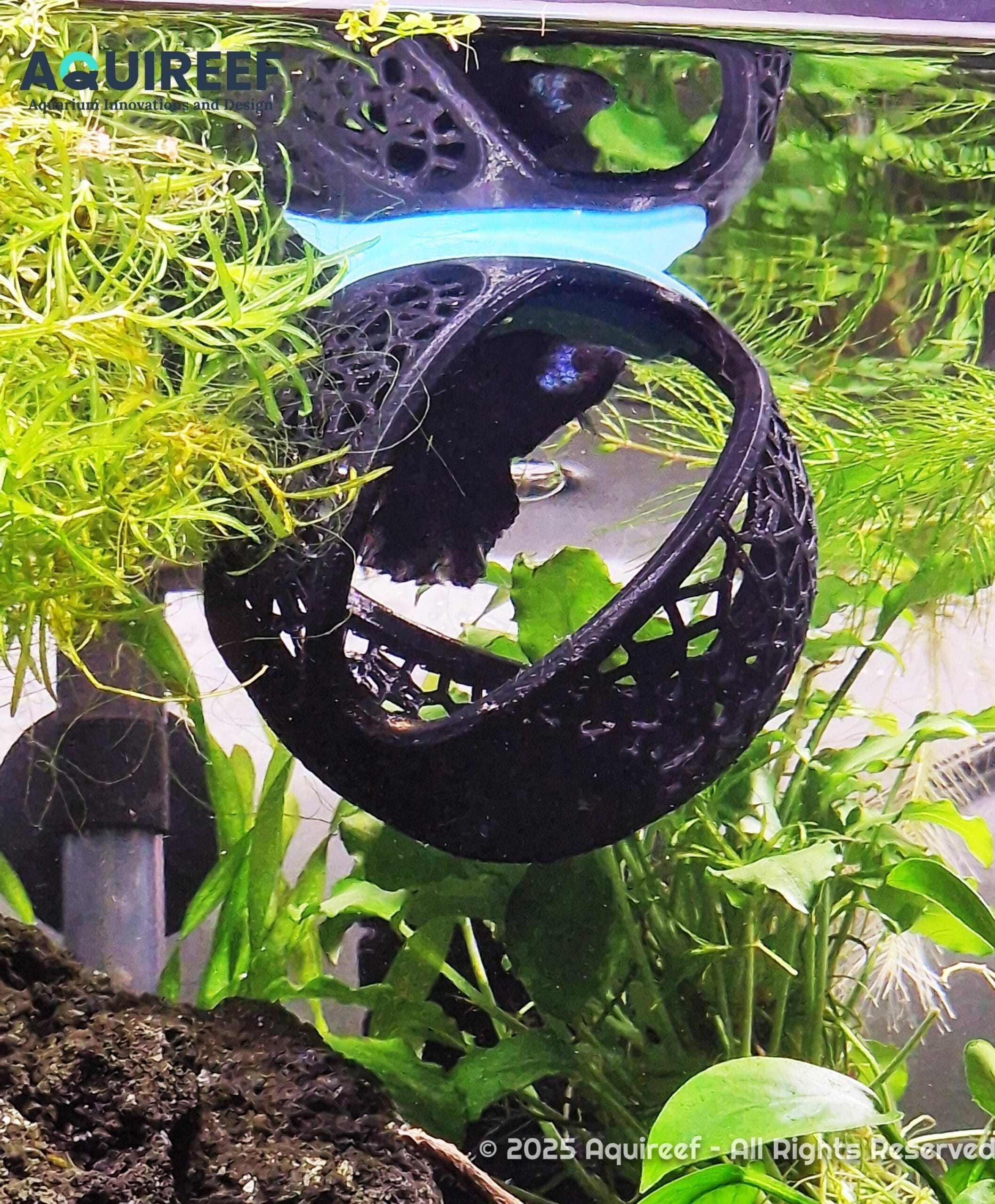 Betta Cave Hammock - Floating, Mounted and Free Placement Aquarium Fish Resting Cave, Modern Betta Fish Hide and Playground | Betta Hammock 3D Printable STL File - Image 2