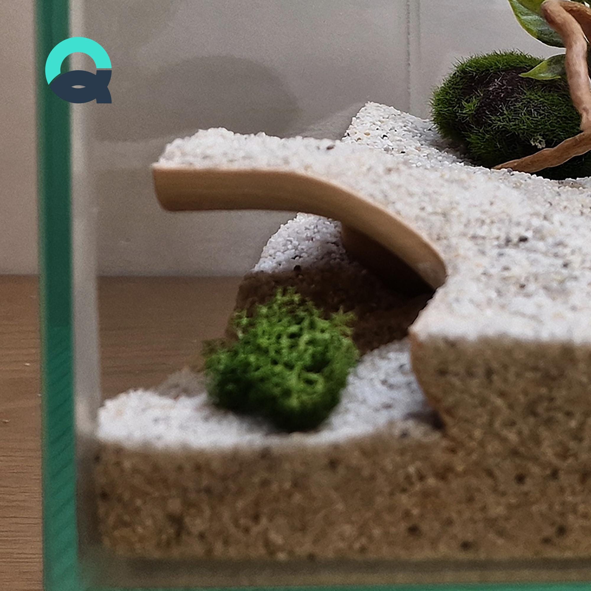 Aquarium & Terrarium Corner Hide - Fish Shelter and Reptile Cave, Fish and Reptile Tank Decor, Aquascaping Set | Tidal Hollow Cave 3D Printable STL File - Image 3