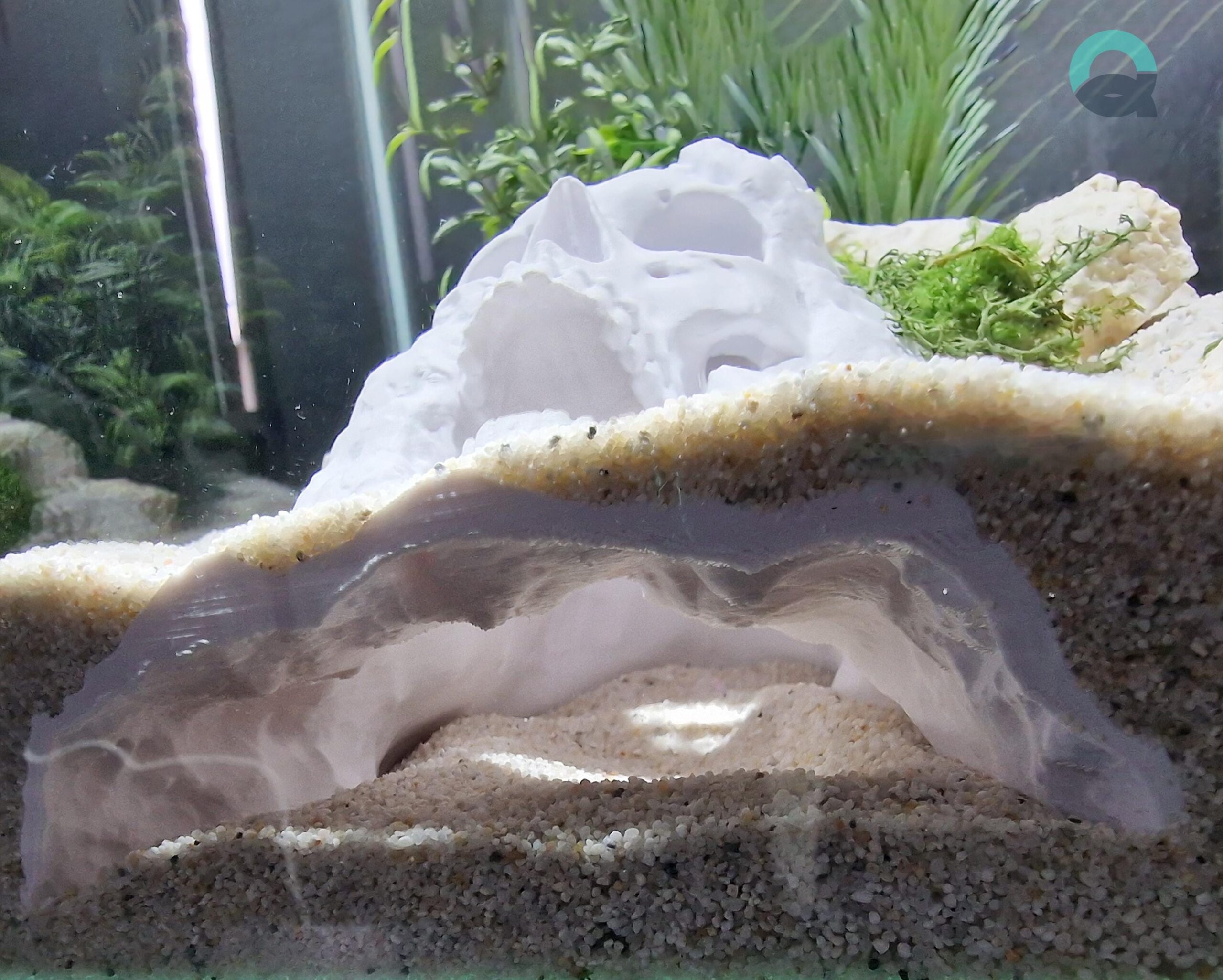 Aquarium & Terrarium Skull Cave – Pirate Themed Hide for Fish, Shrimp, Reptiles, Spiders and Insects | The Pirate Cave 3D Printable STL File - Image 4