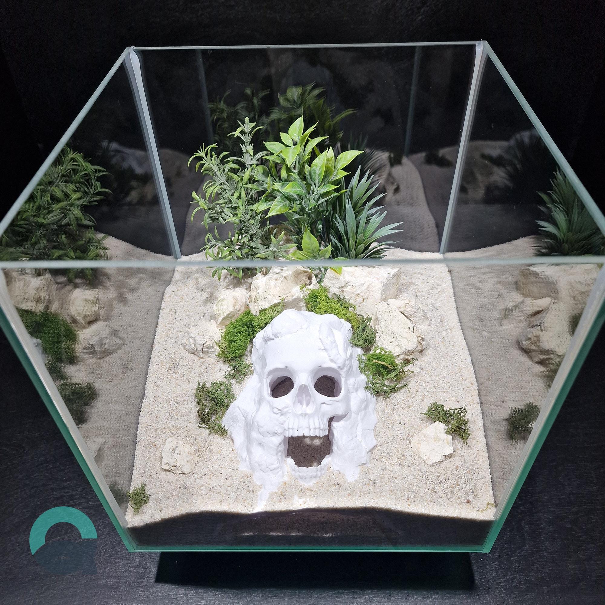 Aquarium & Terrarium Skull Cave – Pirate Themed Hide for Fish, Shrimp, Reptiles, Spiders and Insects | The Pirate Cave 3D Printable STL File - Image 3