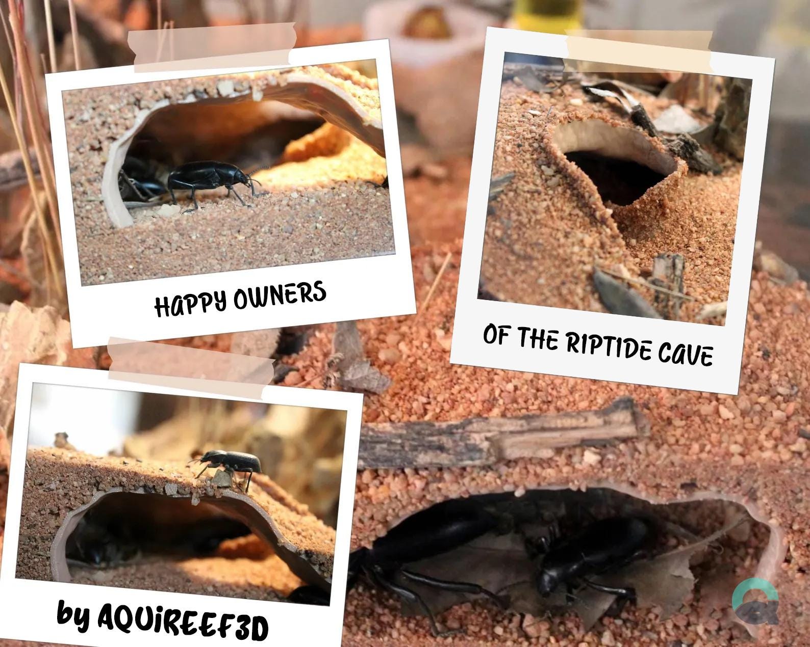 Aquarium & Terrarium Functional Corner Decor Cave - Pet Shelter and Rest Zone, Aquascaping Accessory | The Riptide Cave 3D Printable STL File - Image 5