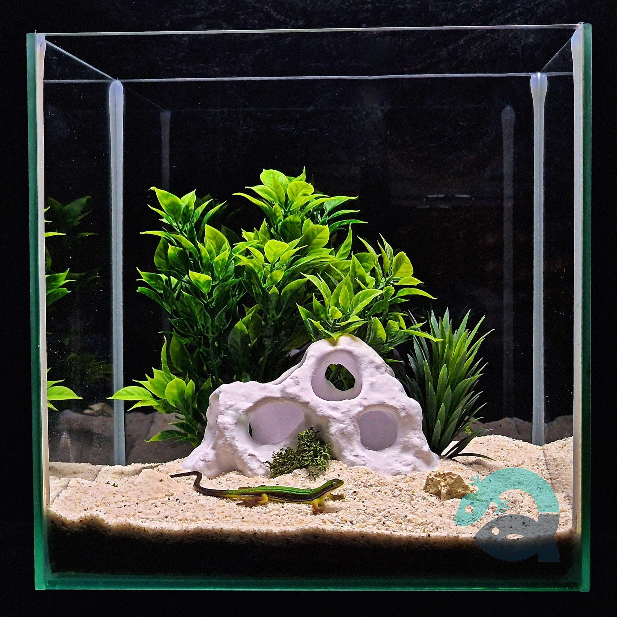 Aquarium & Terrarium Critter Cave, Above Ground Pet Hide, Aquscaping Accessory | The Shellspire Cavern 3D Printable STL File - Image 2