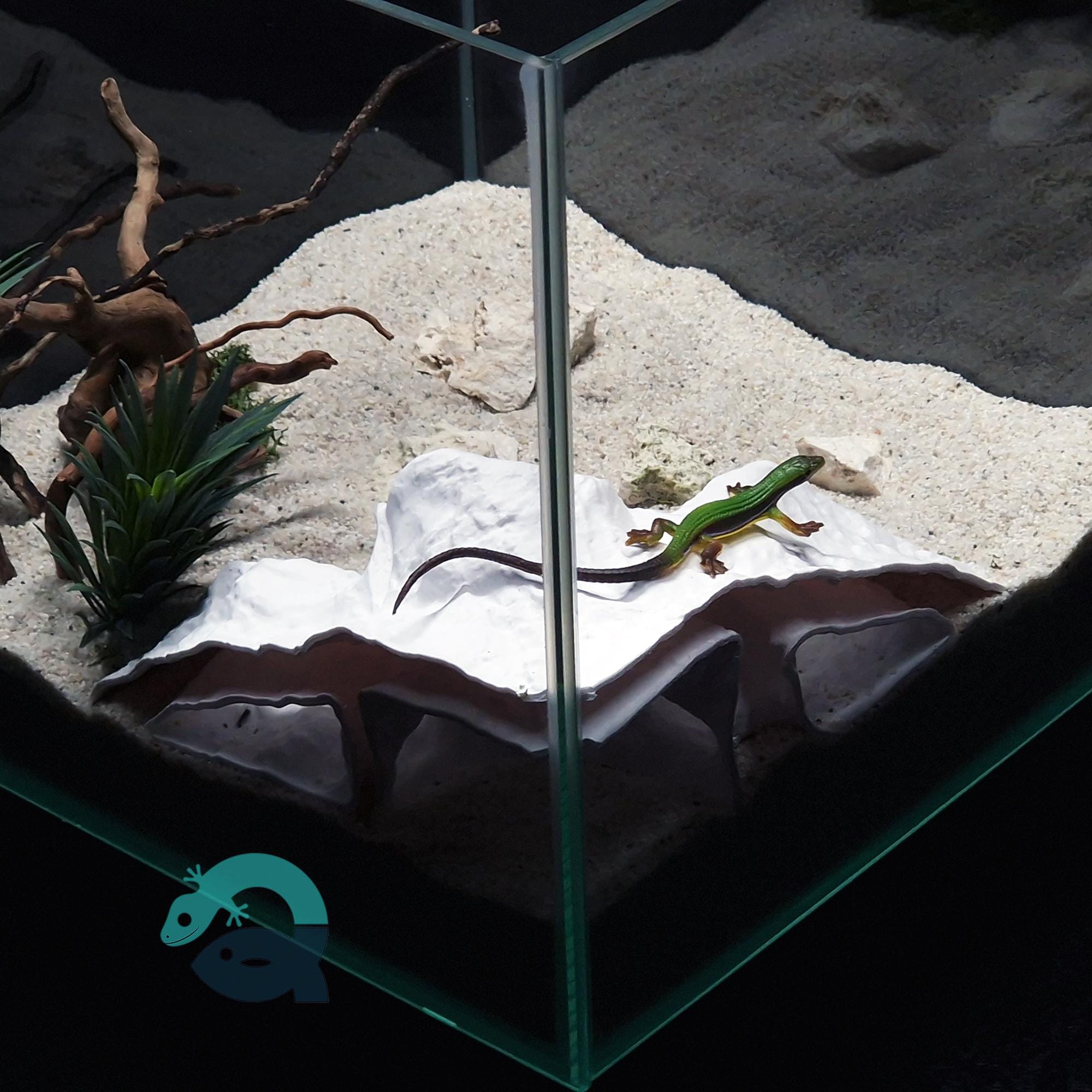 Aquarium & Terrarium Corner Cave for Fish, Shrimp, Amphibians, Reptiles, Spiders, Bugs: a Small Rock Form Tank Corner Decor  | WaveCrest Cave 3D Printable STL File - Image 4