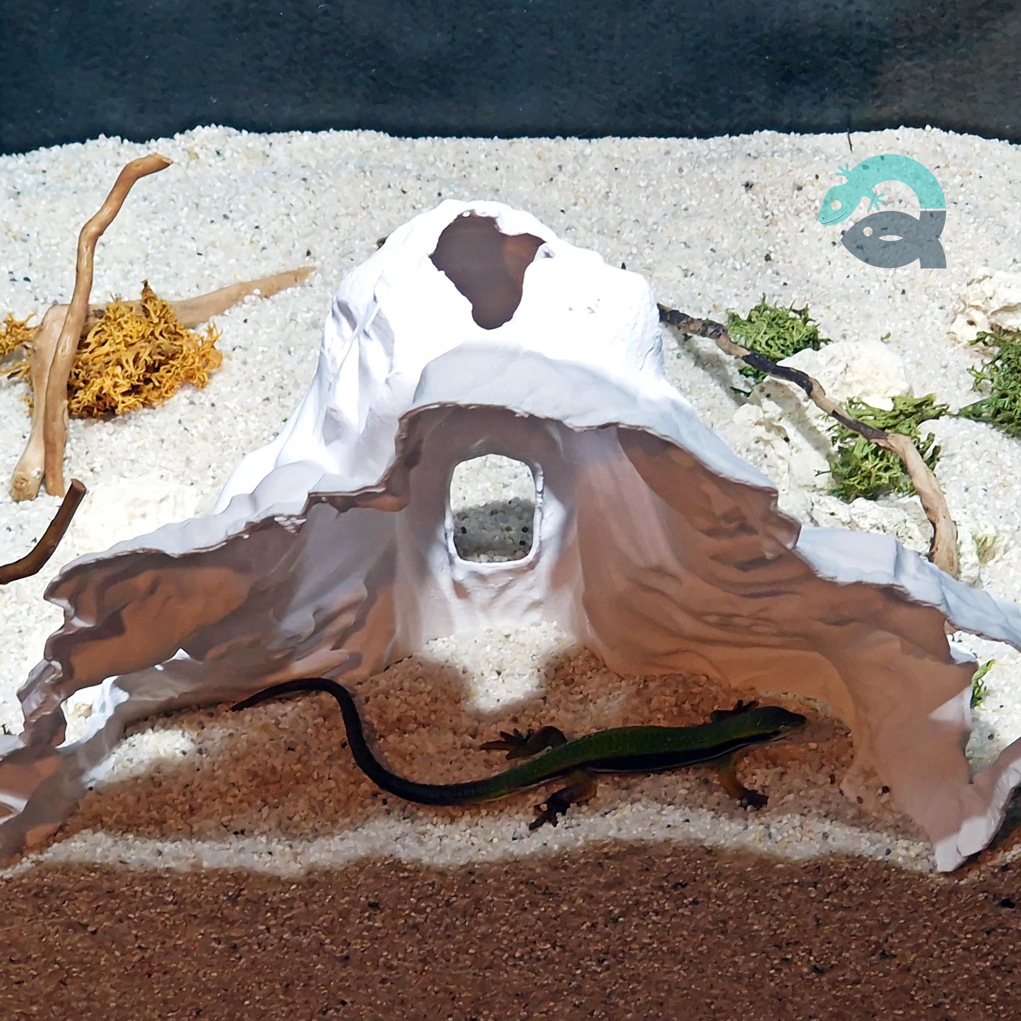 Harry Potter Movie Fan Cave - Aquarium and Terrarium Decor, the Salazar Critter House, 2 Sizes Included | Harry Potter Themed Cave 3D Printable STL File - Image 7