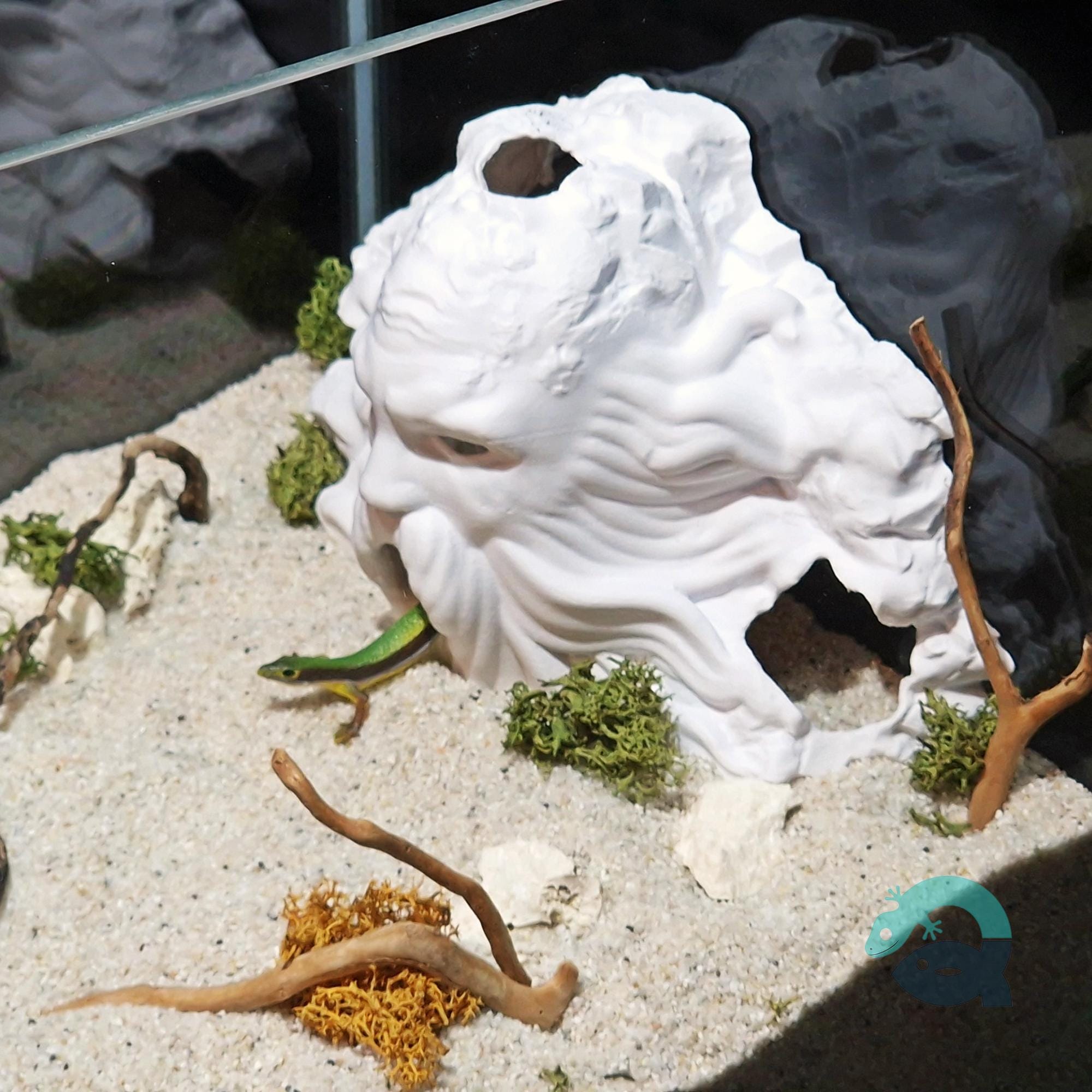 Harry Potter Movie Fan Cave - Aquarium and Terrarium Decor, the Salazar Critter House, 2 Sizes Included | Harry Potter Themed Cave 3D Printable STL File - Image 6