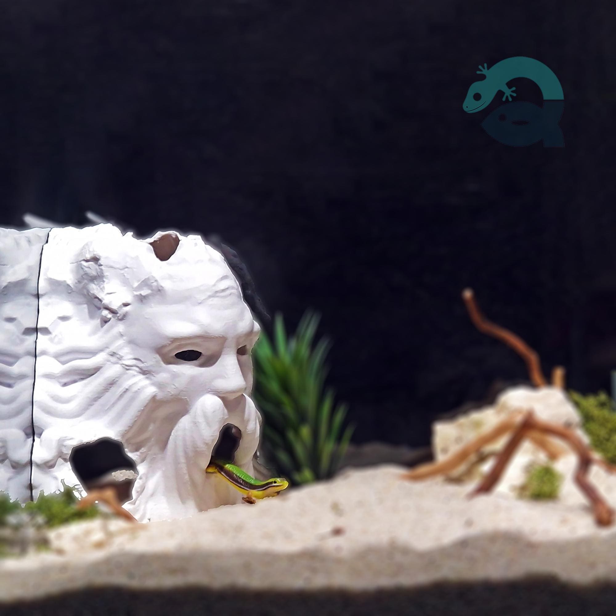 Harry Potter Movie Fan Cave - Aquarium and Terrarium Decor, the Salazar Critter House, 2 Sizes Included | Harry Potter Themed Cave 3D Printable STL File - Image 4