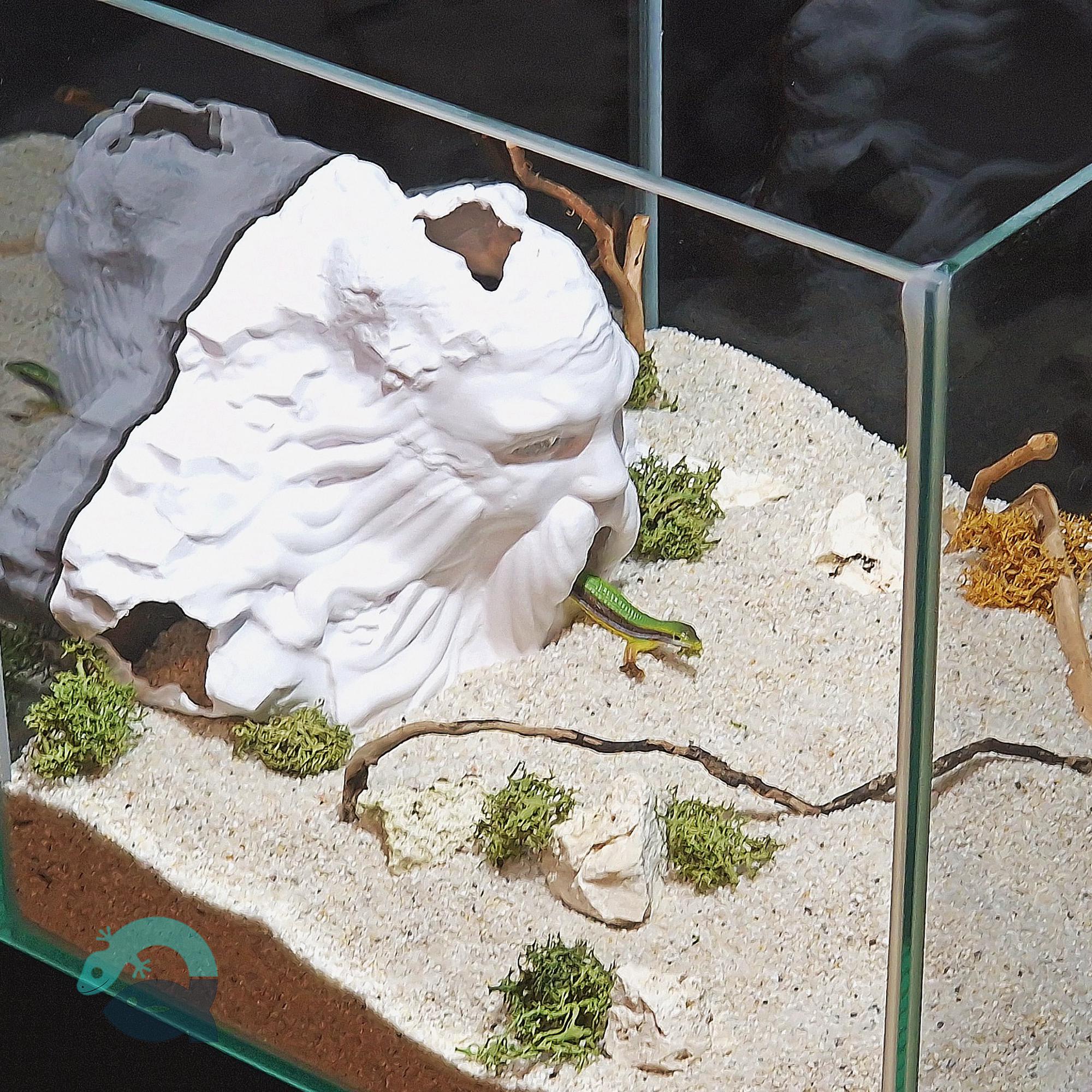 Harry Potter Movie Fan Cave - Aquarium and Terrarium Decor, the Salazar Critter House, 2 Sizes Included | Harry Potter Themed Cave 3D Printable STL File - Image 5