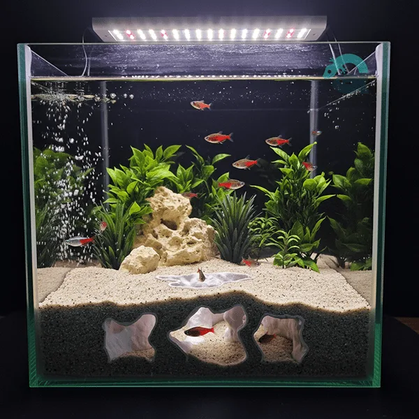 3d printed fish hide showcased in a real aquarium helping to battle fish stress