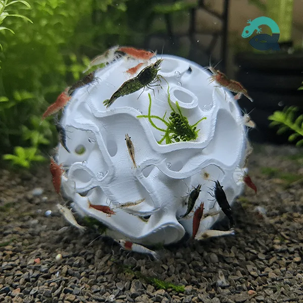The shrimp shelters series - a creation by Aquireef3D to help aquarium shrimps hide, breed and explore.
