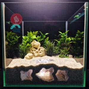 Aquarium & Terrarium decor cave | Critter underground hide | Fish, shrimp, reptile pet house | Atlantis Catacomb Hollow